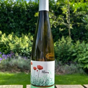 Mas Blanch i Jové Saó riesling